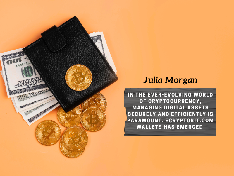 Ultimate Guide to eCryptoBit.com Wallets Secure Powerful and User Friendly Crypto Management